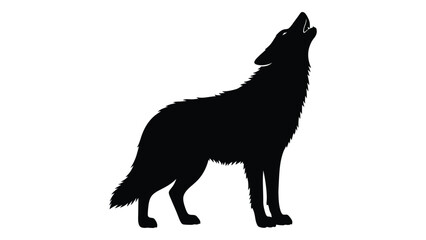 A silhouette of a wolf howling at the moon in a dark forest setting. isolated on white background, Vector © JASMIN