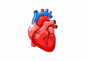Human Heart with Mechanical Cogwheel Attachment.