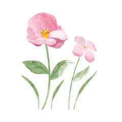 Obraz premium watercolor leaf and flower. Botanical illustration minimal style