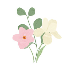 watercolor leaf and flower. Botanical illustration minimal style