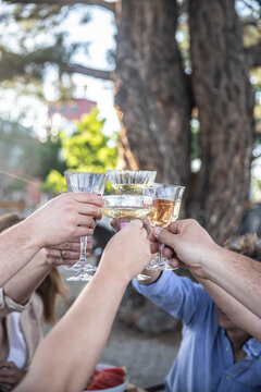 Friends raising glasses toasting at outdoor celebration dinner