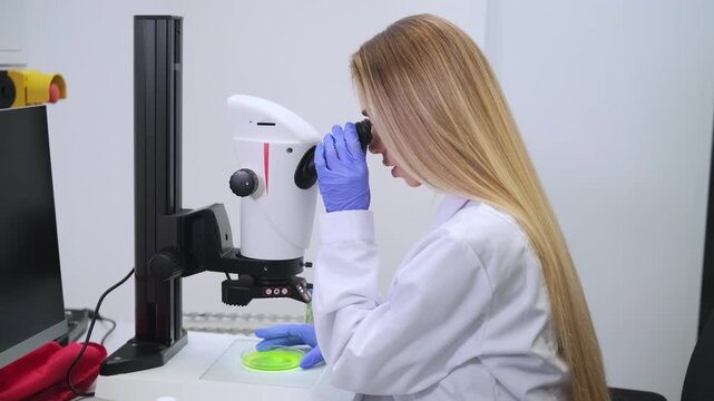 Blonde woman examining agar culture using microscope. Biotechnology and microbiological research concept.
