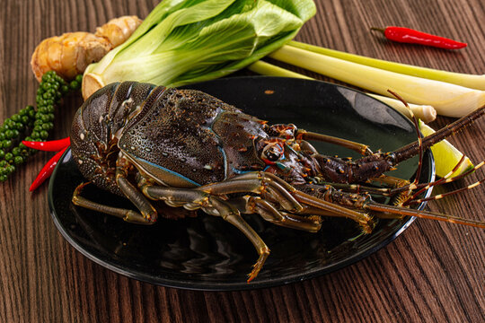 Raw fresh lobster for bowl