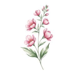 Obraz premium A delicate bouquet of pink flowers with green stems and leaves isolated on transparent background