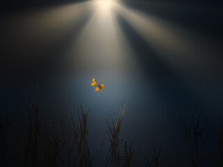 Two Small Heath Butterflies in Dramatic Sun Rays © Dan Badiu