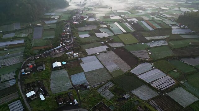 Sunrise footage of a peaceful mountain valley with farmland patterns, gentle morning mist and low clouds drifting above rural countryside scenery in the Bali highlands Indonesia.
