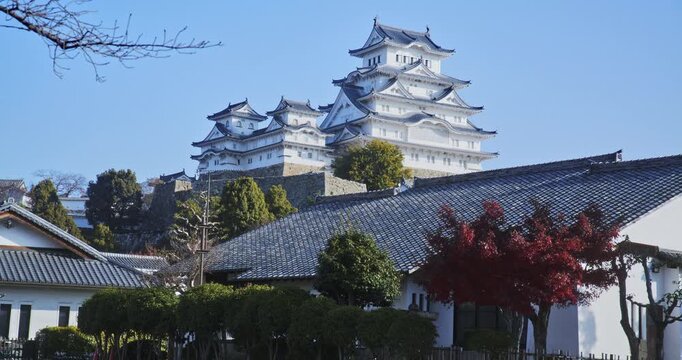 Autumn trees around ancient Japanese castle area - low, locked off shot
