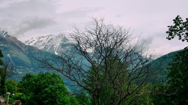 Bare tree branches in foreground with snow capped Italian Alps and clouds in background near Edolo