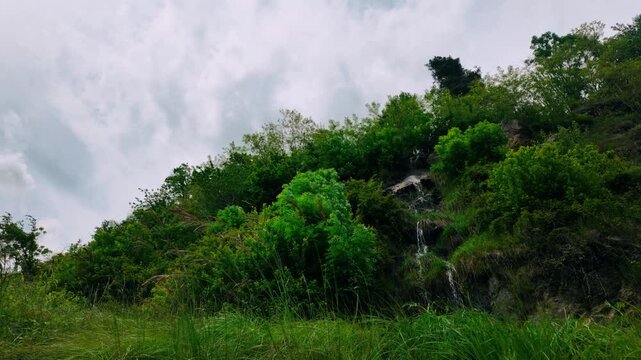 Low angle view of small forest waterfall cascading down rocky slope with green trees and sky