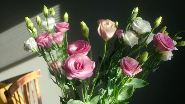 Beautiful pink and white eustoma flowers in bouquet in room, with sunlight and shadows from window blinds creating dynamic and serene atmosphere at home. Lisianthus flowers bouquet in sunlight