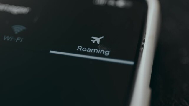 User taps the Roaming option to view the data usage report