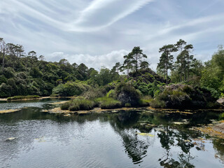 Irish lakes in the nature