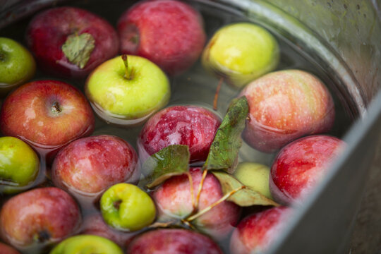 A view of a collection of apples floating in water inside a large metal container.