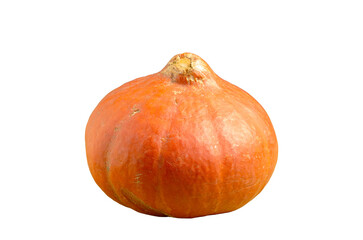 Orange pumpkin isolated on white background
