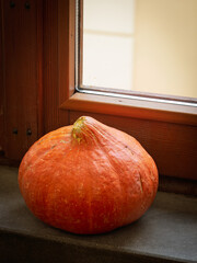 Orange pumpkin close to the window in a little country village