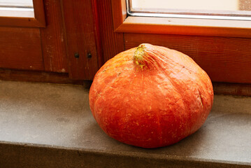Orange pumpkin close to the window in a little country village