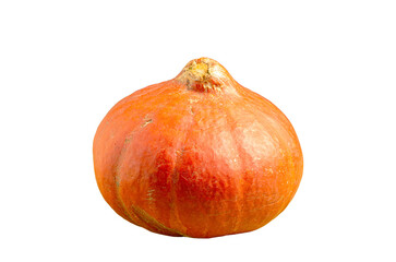 Orange pumpkin isolated on white background