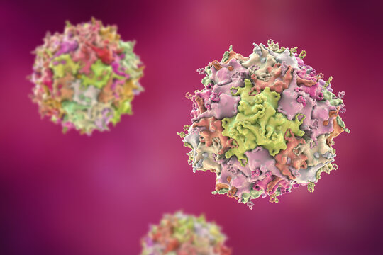 Adeno-associated virus virion, 3D illustration