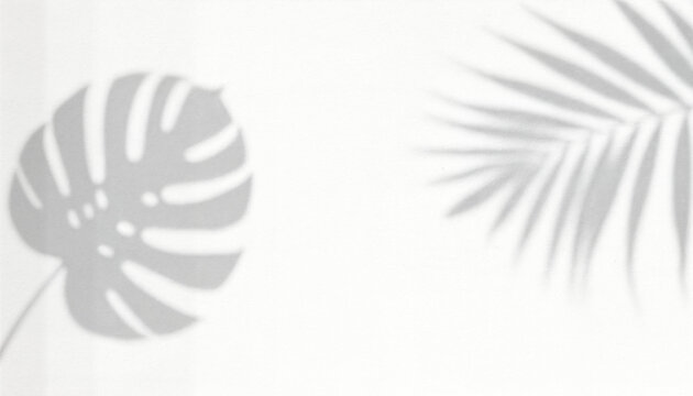 shadow overlay effects of realistic abstract natural tree leaves shadow on wall background,Summer sunlight and shadow overlay effect,shadow for photo interior backdrop studio mockup