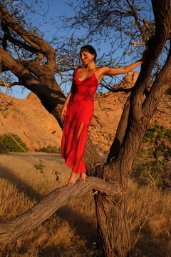 Young woman in red dress at sunset balancing on a tree branch