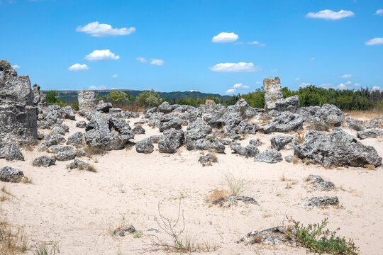 Rock formation Pobiti Kamani (Upright Stones), Bulgaria