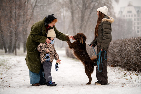 mother and daughters of different ages play with dog in snowy park