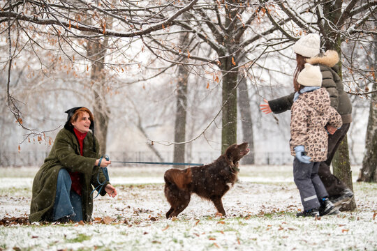 mother and daughters of different ages play with dog in snowy park
