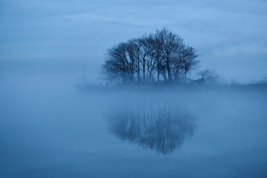 Trees Reflecting in Foggy Pond at Sunrise