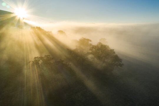 Fog Rolling Through the Green Verdant Hills in SoCal