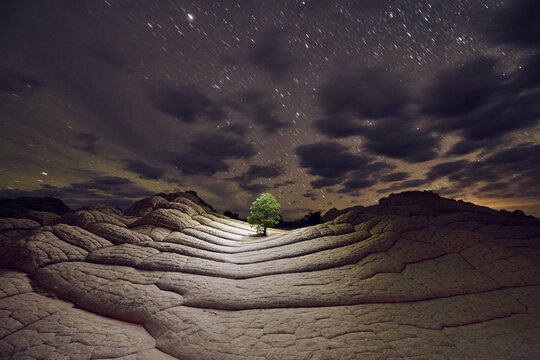 Interesting Patterns and Rock Formations in White Pocket, Coyote