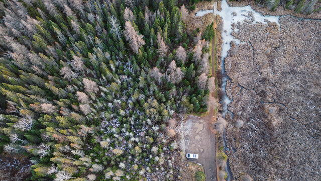 Top-down aerial of white camper van at forest and marsh trailhead