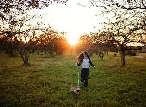 Beautiful tween girl running with puppy through orchard at sunse