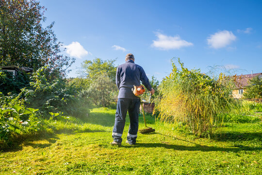 Senior man uses grass trimmer to cut overgrown lawn in his backyard