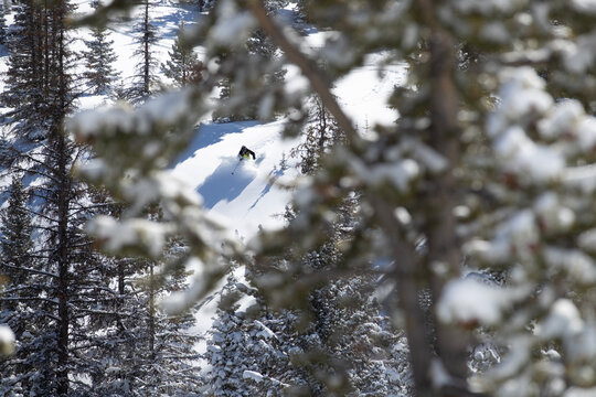 A View To Skiing Powder