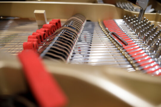 Close up of grand piano strings and tuning pins