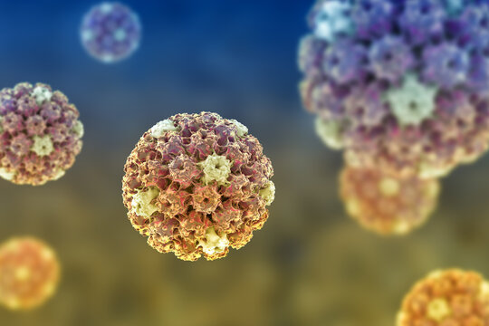 Human papillomavirus type 16 virion, 3D illustration