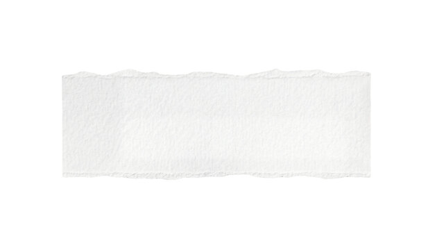 ripped element set of torn paper edges isolated with clipping path on background. torn paper texture, ripped of paper designs and jagged paper edges create a raw, artistic look