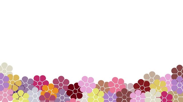 Colorful flower floral pattern spring border animation background motion graphic video