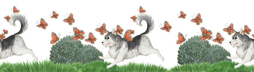A cheerful husky runs through a summer meadow, playing with butterflies. A seamless watercolor border for design and creativity. © Anna Bastron