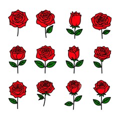 Elegant Red Rose Collection - A Symbol of Love and Beauty.