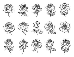 Elegant Rose Sketches - A Collection of Floral Line Art.