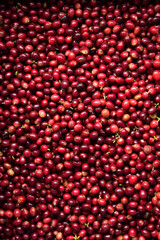 close up of fresh coffee beans for background