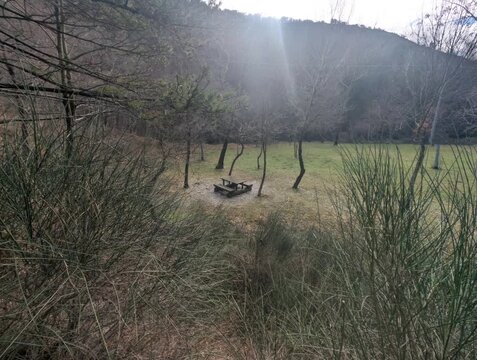 Area naturale con una radura erbosa circondata da alberi e montagne. Al centro si trova un tavolo con panche fatte con i tronchi 
