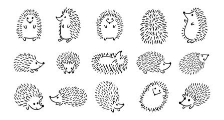Doodle hand drawn cute hedgehog set. Hand drawn adorable hedgehog collection. Outline drawing for children. © Yanka
