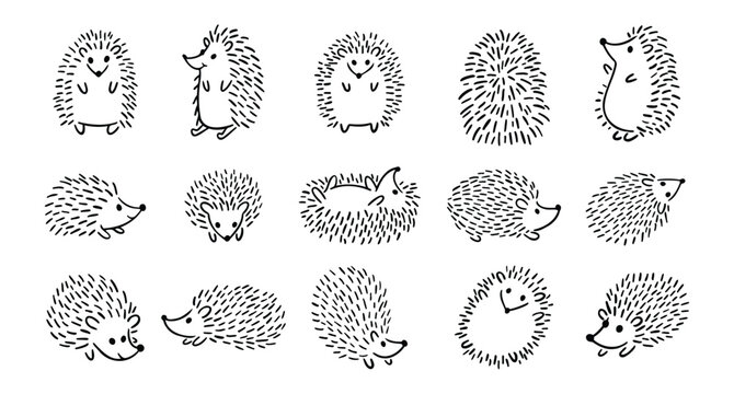 Doodle hand drawn cute hedgehog set. Hand drawn adorable hedgehog collection. Outline drawing for children.