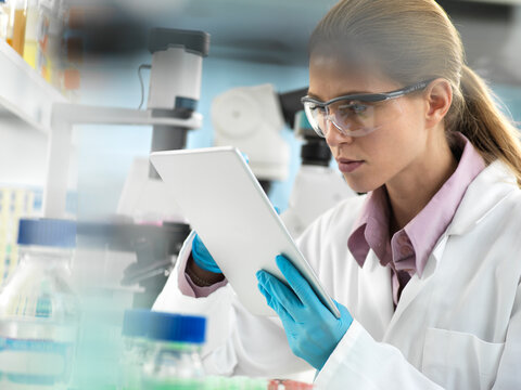 Scientist adding data to a tablet during an experiment in the laboratory