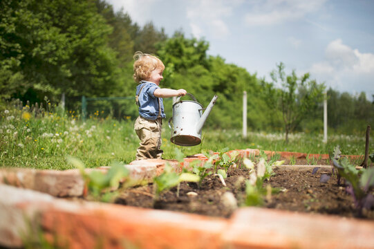 Little boy in the garden watering seedlings
