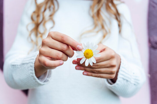Midsection of girl holding fresh white daisy flower during springtime