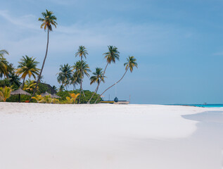 Vacation summer holidays leisure background - sunny tropical Caribbean paradise resort beach with white sand, lounger, palms on Maldive