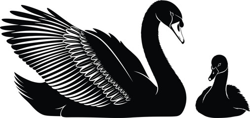 Black vector silhouette of a majestic swan with spread wings swimming next to a smaller cygnet for nature wildlife lake and bird branding © Rehena